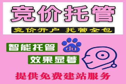 竞价推广SEM托管的策略调整——某知名品牌的成功经验