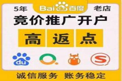 竞价排名案例：行业领先企业经验